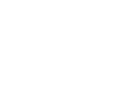 Logo energuy 1.0